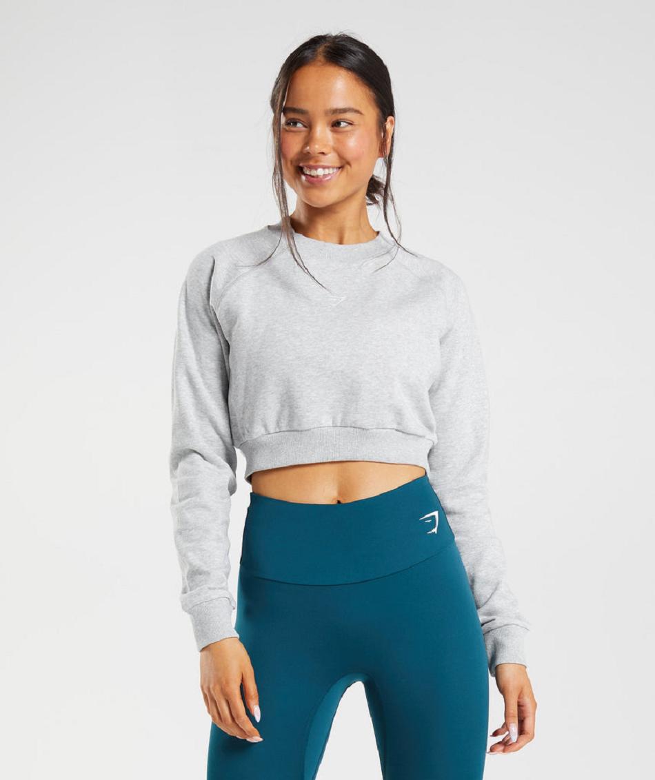 Gymshark Training Cropped Sweater Ženske Accessories Svijetlo Sive | HR 3773HAP